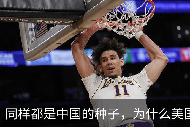 同样都是中国的种子，为什么美国种出的水稻，亩产要比中国高？