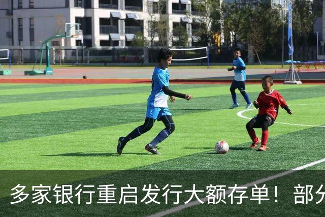 多家银行重启发行大额存单！部分产品额度告急！