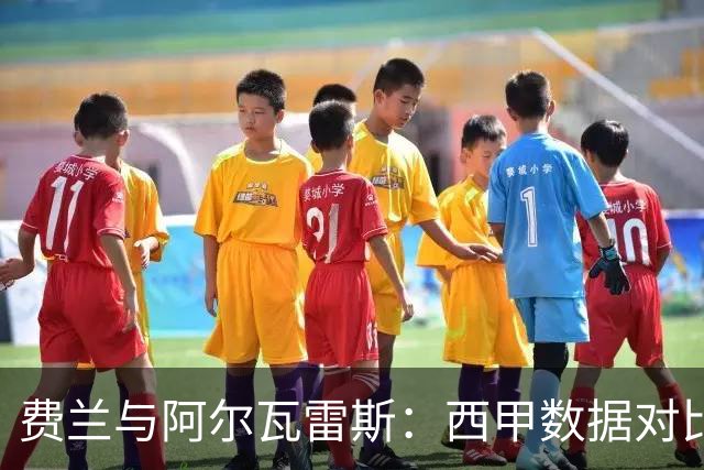费兰与阿尔瓦雷斯：西甲数据对比揭示未来转会动态